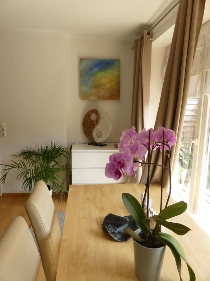 Top-2 Zimmer Ferienwohnung In Salzburg Mit Terrasse Extérieur photo